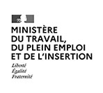 Ministère du Travail de l'Emploi et de l'Insertion