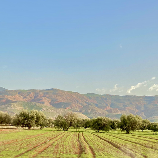 Inclusion financière, ruralité et numérique